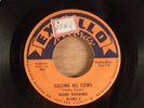 Blues Rockers  Calling All Cows/Johnny Mae    Blues, R&B  1955 Excello