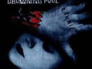 Drowning Pool Sinner (Vinyl) 12