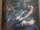 RARE SIGNED Siouxsie And The Banshees The Scream 1978 Vinyl LP Record Original