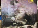 The Land of Rape and Honey [LP] by Ministry (Vinyl, Aug-1993, Sire Records USA)