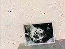 Fleetwood Mac - Tusk