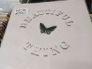 The Stone Roses Beautiful Thing 12
