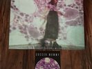 Soccer Mommy -Sometimes, Forever -Pink Splatter Vinyl LP -SIGNED Card-Poster New