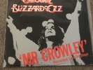 OZZY OSBOURNE BLIZZARD OF OZ - MR CROWLEY RECORDED LIVE ON STAGE (JET 1980) 12”