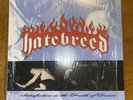 Hatebreed -Satisfaction is the Death of Desire -LP- 1st press-Victory Records