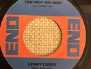 Lenny Curtis - Nothing Can Help You Now - End Lookalike