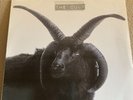 The Cult 1994 Self Titled LP RARE OOP