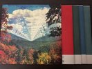 Innerspeaker (10 Year Anniversary Edition) by Tame Impala - 4LP Vinyl Record Set