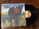 2012 Dude Ranch Black 12