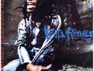 Busta Rhymes - When Disaster Strikes... '97 2xLP US ORG VG+/EX-