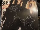 Cheap Trick…. Signed Autograph