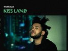 The Weeknd Kiss Land - Seaglass Color Vinyl Record - 2x LP  - 5th Anniversary