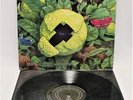 SKYCLAD (Folk Metal) ‘Irrational Anthems’ 1996 Vinyl LP + Inner, German – L47