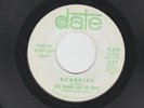 GARAGE FUZZ PSYCH 45  - DICK WAGNER and the FROSTS - SUNSHINE  - HEAR- 1968 DATE