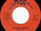 D.N.A. -Because I Love You/Seashell -Fuzz PS-013 1969 lo-fi garage psych rock 45