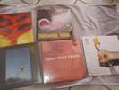 Yeah Yeah Yeahs vinyl LP lot.