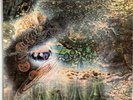 PINK FLOYD A SAUCERFUL OF SECRETS VINYL LP COLUMBIA UK STEREO 1973 EXC 2 BOX