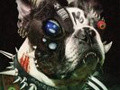 Machine Girl - U​-​Void Synthesizer / Vinyl LP