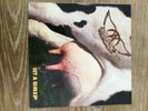 vinyl record Aerosmith Get a grip 1993 Geffen