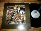 THE SURFERS ( SHELLS ) ORIG 1974 HAWAIIAN pop ROCK vinyl LP fully AUTOGRAPHED NM