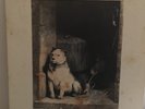 PAVLOV,S DOG        LP        PAMPERED  MENIAL  ( PROMO )