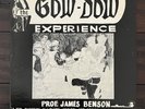 Prof. James Benson - The Gow-Dow Experience - LP Jazz Funk Private Press