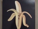 The Dandy Warhols, Wecome to the Monkey House Duran Duran David Bowie Top RAR