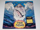 STEVE HILLAGE - FISH RISING ** WHITE LABEL PROMO * DJ Copy LP * VR 13-118 * 1975