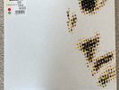 Paul Weller - Fly on the Wall (B-Sides & Rarities 1991-2000, 2003)