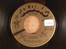 The Brotherhood Of Soul  Save Me/The Morning After  Psych, Garage 1967 Goldbug