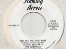 NORTHERN --  GLORIA WALKER &  CHEVELLES  -- YOU HIT THE SPOT BABY