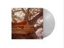 The Backseat Lovers Waiting to Spill (Vinyl)