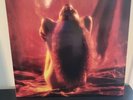 Y&T Ten vinyl lp Made in Germany 1990 Geffen Records super rare