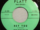 HEAR IT 60's Garage 45 rpm The Five of Us 