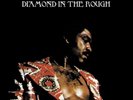 Syl Johnson Diamond in the Rough (Vinyl) 12