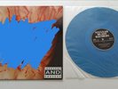 DISMEMBER INDECENT AND OBSCENE INSANELY RARE FIRST PRESS IN MINT CONDITION