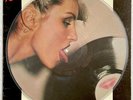 BLONDIE-Parallel Lines- Original 1978 US Picture Disc (Clear Rim) LP (Vinyl)