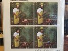 [ROCK] SEALED LP WHITE DENIM Last Day Of Summer {2019 RADIO MILK Re] GREEN VINYL