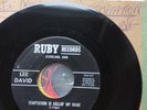 LEE DAVID  TEMPTATION IS CALLING MY NAME   RUBY RECORDS