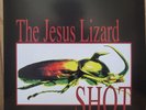 LP Shot - Jesus Lizard (#848064014256)