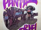 Panta Rhei - Panta Rhei EXCELLENT+ Vinyl LP 1973 Amiga 855318