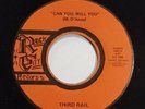THIRD RAIL Can You, Will You / Rock City Private Label Demo 45 Record LI NY Rare