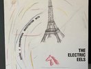 Electric Eels – Having A Philosophical Investigation (vinyl LP), proto punk RARE