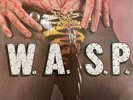 WASP Animal F*** Like A Beast LP 1st Press 12 KUT 109 MFN France VG/VG TESTED