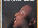MUDDY WATERS 
