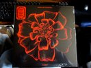 SIOUXSIE AND THE BANSHEES ALL SOULS 180G ORANGE LP RECORD SCARCE OOP S/SEALED