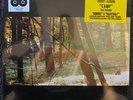 LP CAMP - CHILDISH GAMBINO (#892038002404)