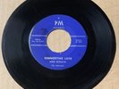 Mike Donato & The Tridels WHITE DOO WOP 45 Summertime Love / Dora PM Label  HEAR