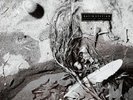 DAVID SYLVIAN - SECRETS OF THE BEEHIVE (VINYL LP)