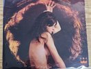 HAIR -  The 31 Flavors - LP - Vinyl - Super Rare Psych -  CST 592 Crown Records